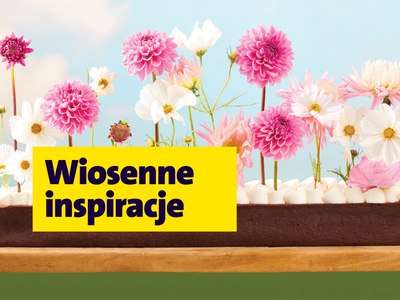 Katalog Wiosna 2026