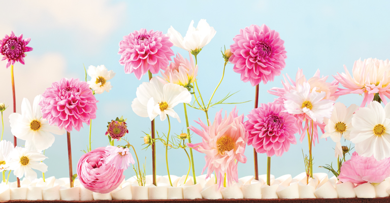 Katalog <strong>wiosna 2026</strong>