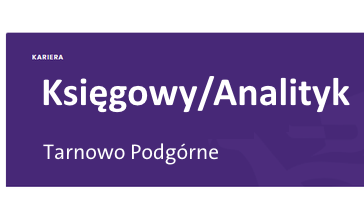 ksiegowy_analityk.png