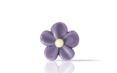 BT Purple flower