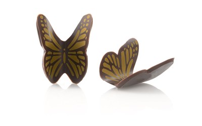 BT Motyl