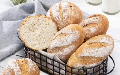 NutriGO High Protein Free