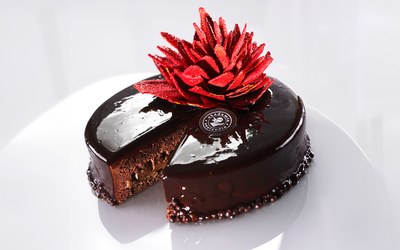 Paletta Cold Choco