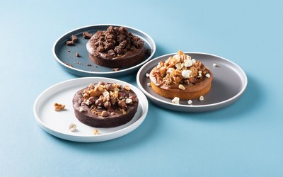 Cocoa Brownie