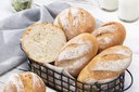 NutriGO High Protein Free