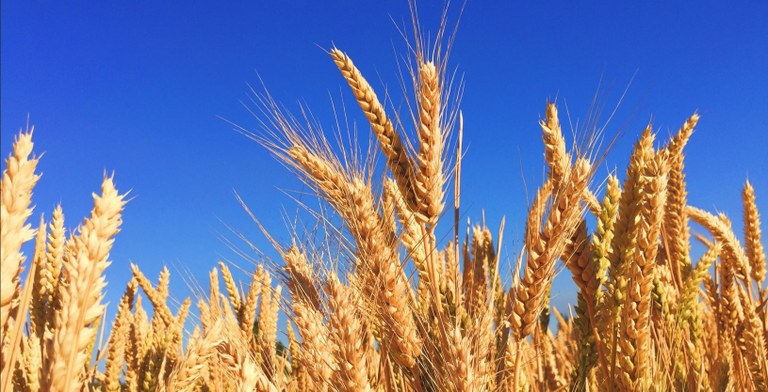 responsible proc.JPG